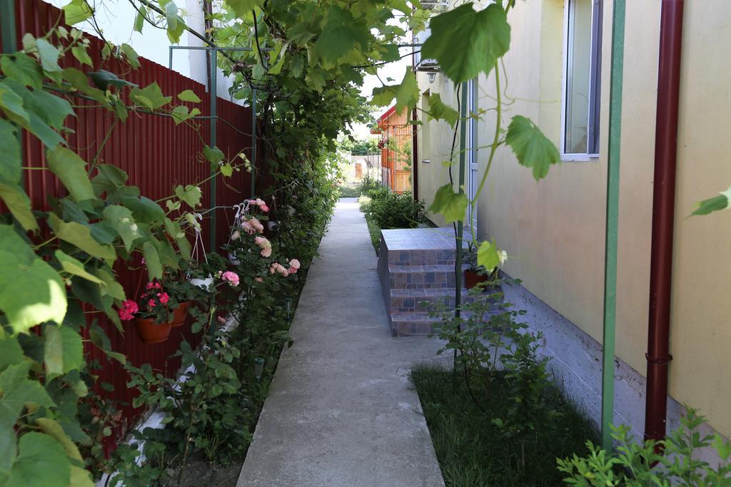 ホテル Casa Iustina スリナ エクステリア 写真